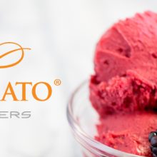A glass bowl with scoops of bright pink gelato topped with fresh blackberries sits on a marble surface. The text "Leo Leo Gelato Master Gelatiers" with a winged lion logo appears on the left.