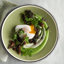 A gourmet dish featuring a soft-boiled egg, green pea purée, morel mushrooms, microgreens, and fresh herbs, artfully arranged on a light green plate set on a gray surface with a pale green napkin.