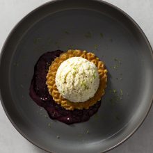 Elegant dessert featuring tart, creamy ice cream, berry sauce, and lime zest garnish.