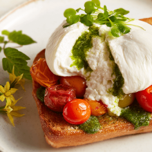 Tomato Leaf Pesto California Burrata Roasted Tomato Toast