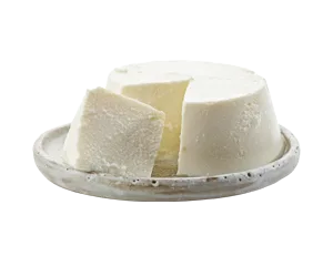 Fresh ricotta cheese portioned on a gray serving plate, ideal for foodservice and wholesale distribution applications.
