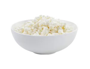 A white ceramic bowl filled with fresh cottage cheese curds, ideal for foodservice distribution and wholesale food supplier applications.